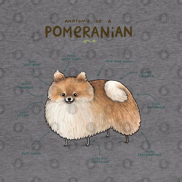 Anatomy of a Pomeranian by Sophie Corrigan